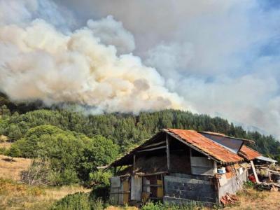 O incêndio perto da aldeia de Senokos arde em várias frentes, as equipas estão a extinguir focos locais